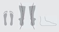 Pronated